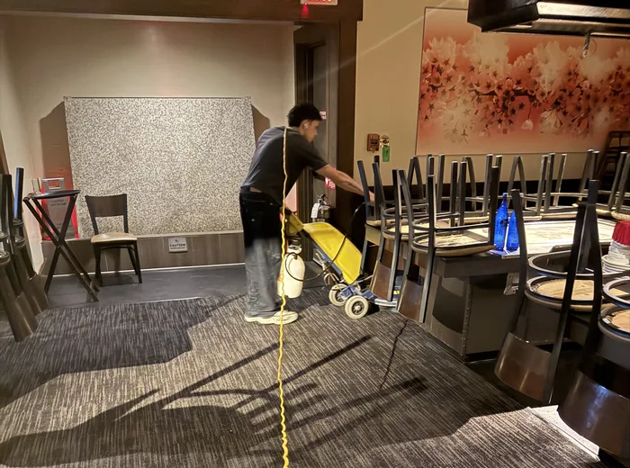 Carpet cleaning in progress